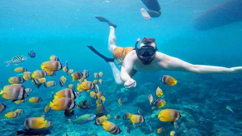 Private Snorkling Nusa Penida (Max 4 orang)