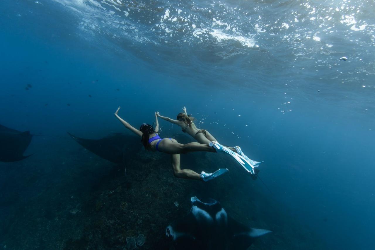 Shared Speed Boat Day Trip to Nusa Penida