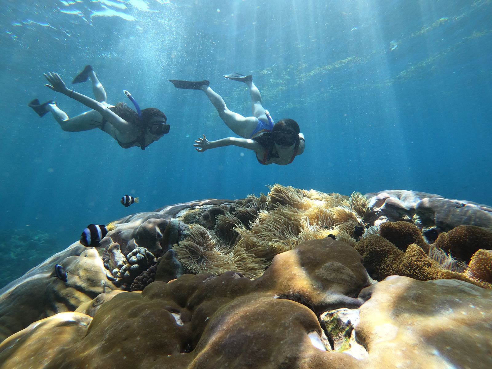 Nusa Lembongan Snorkeling and Day Tour from Bali