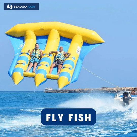 Platinum Paket - Water Sport