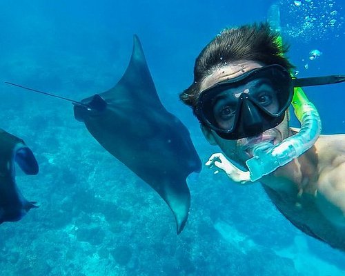 Private Snorkling Nusa Penida (Max 4 orang)